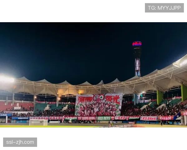 河南队2-1逆转云南玉昆，航海体育场再现火爆球市